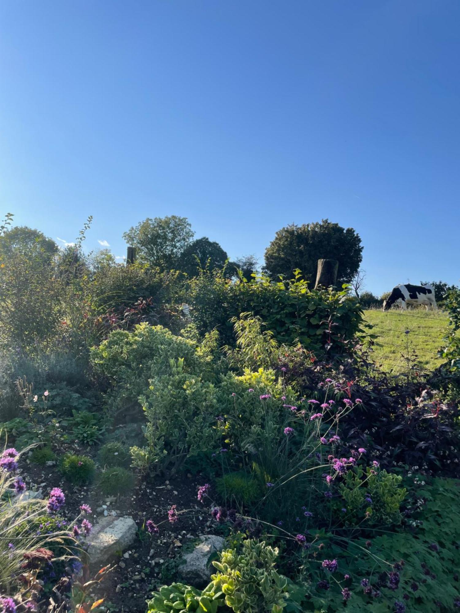 Les Charmes De Villers Huchenneville Exterior foto